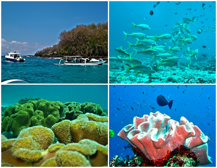 Padang Bay Tauchen